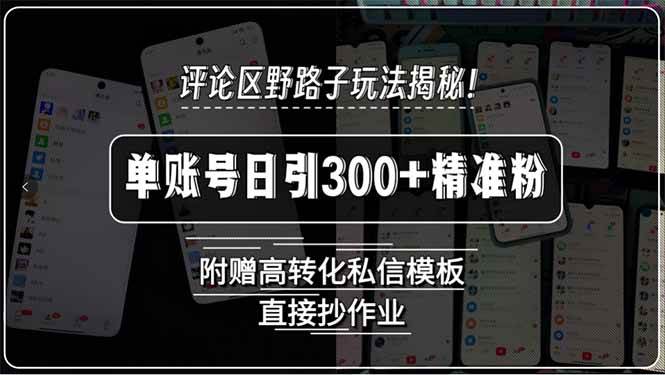 （15466期）评论区野路子玩法揭秘！单账号日引300+精准粉，附赠高转化私信模板，直…-星火爱财